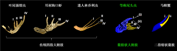 嘘！“华为”车现在卖十万块了